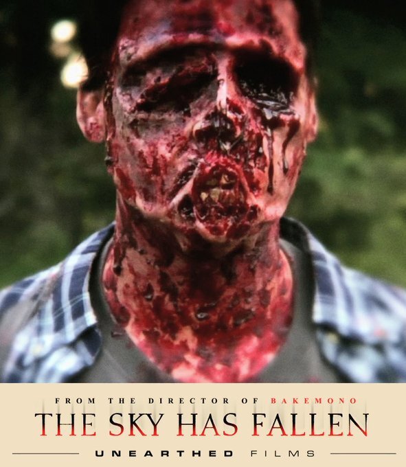 🇺🇸 Pre-Order: The Sky Has Fallen